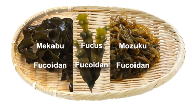 Fucoidan 3-Plus 160 viên Chính Hãng nhập khẩu Nhật Bản
