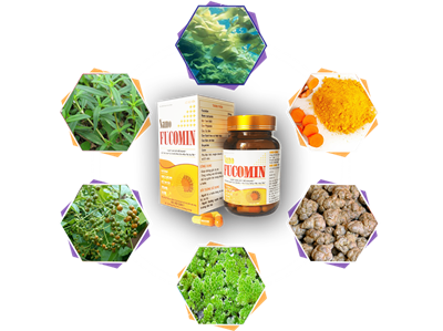 Thành phần nano fucomin
